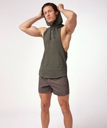 Толстовка Under Armour Pjt Rck Snake SL HD 1389987-310