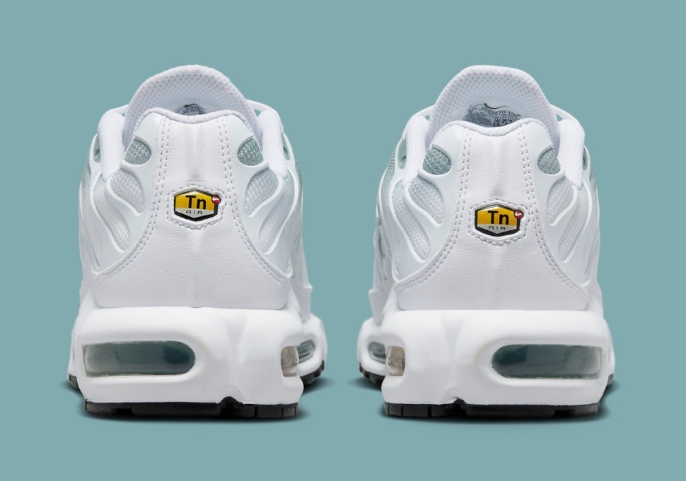 Кроссовки Nike W AIR MAX PLUS DZ3670-100