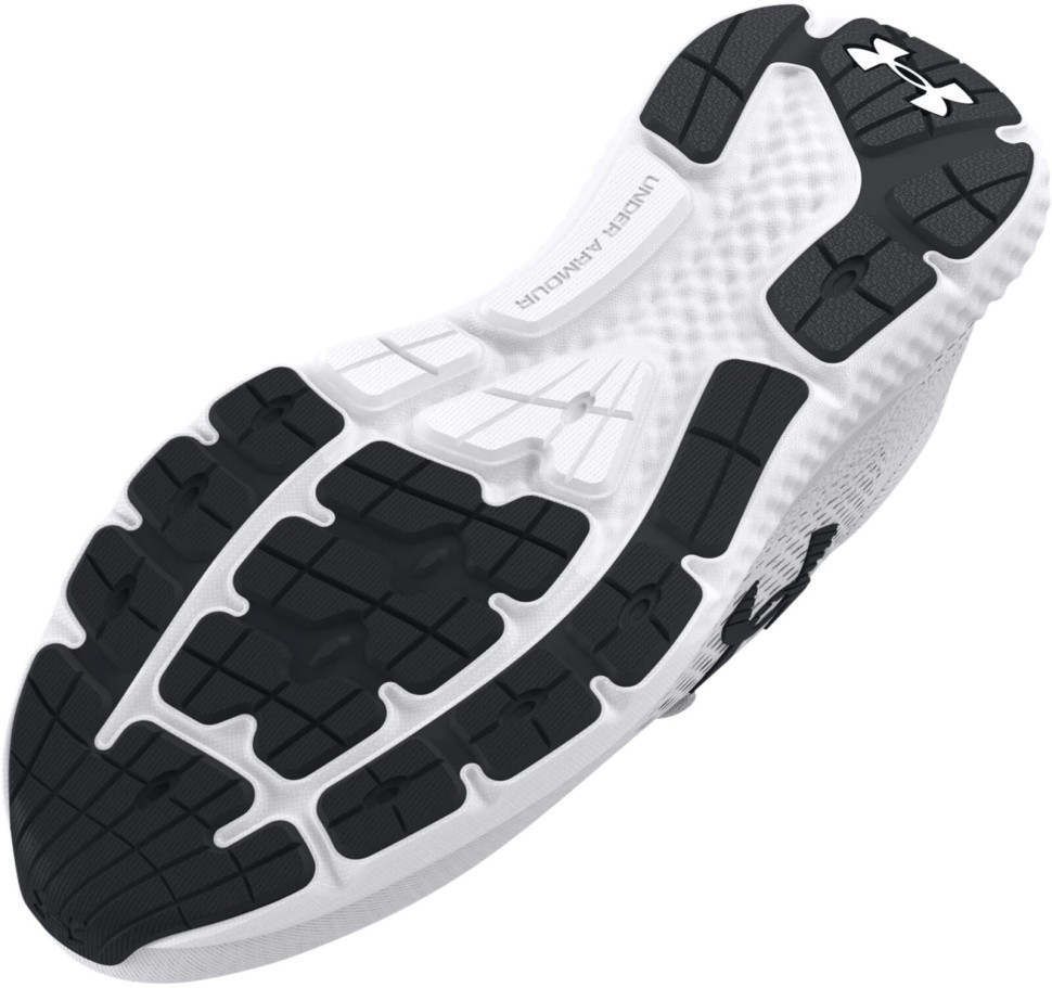 Кроссовки Under Armour UA Charged Rogue 4 3026998-101