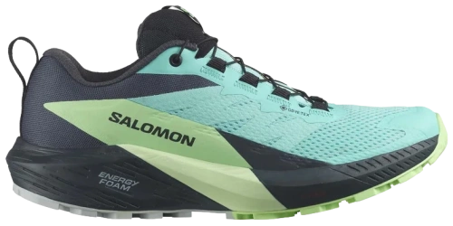 Кроссовки Salomon SENSE RIDE 5 GTX L47216000