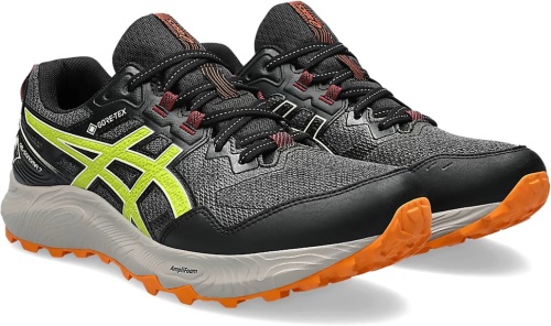 Кроссовки Asics GEL-SONOMA 7 GTX 1011B593-020