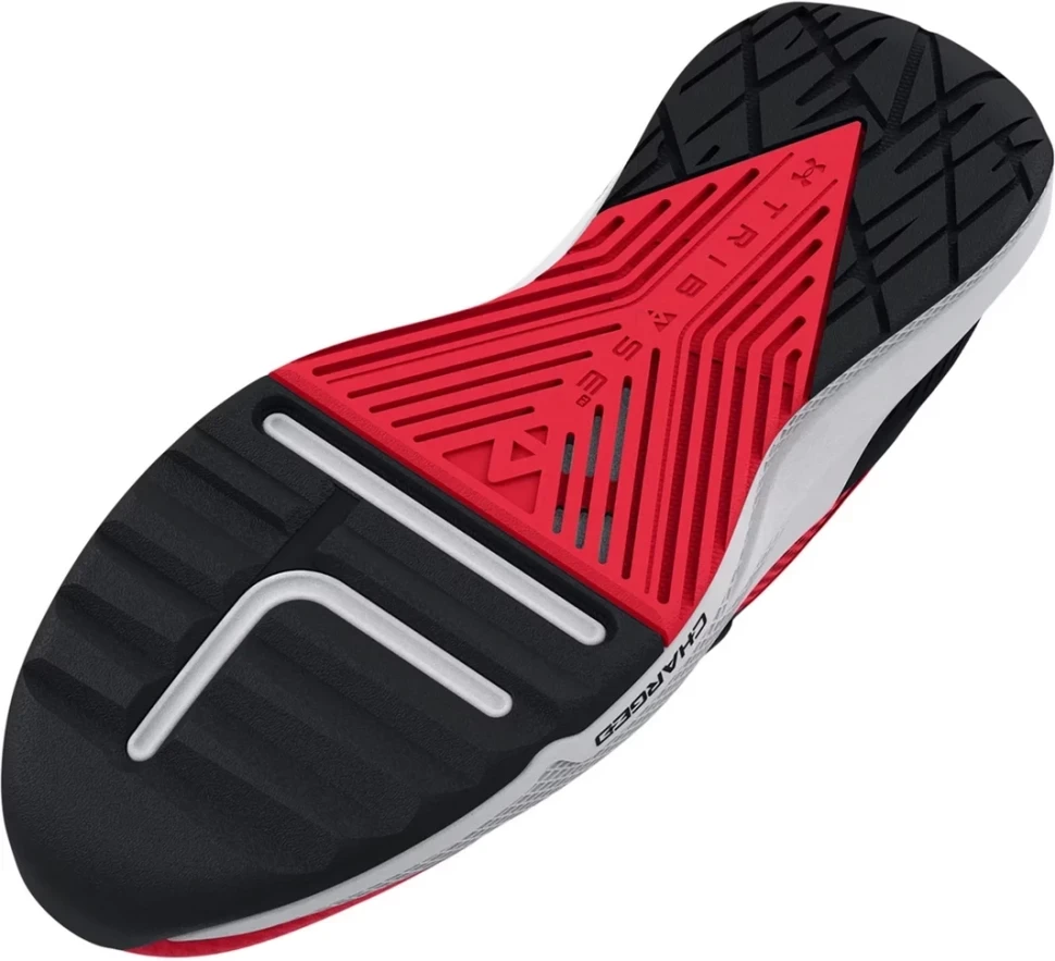 Кроссовки Under Armour UA PROJECT ROCK BSR 2 3025081-600