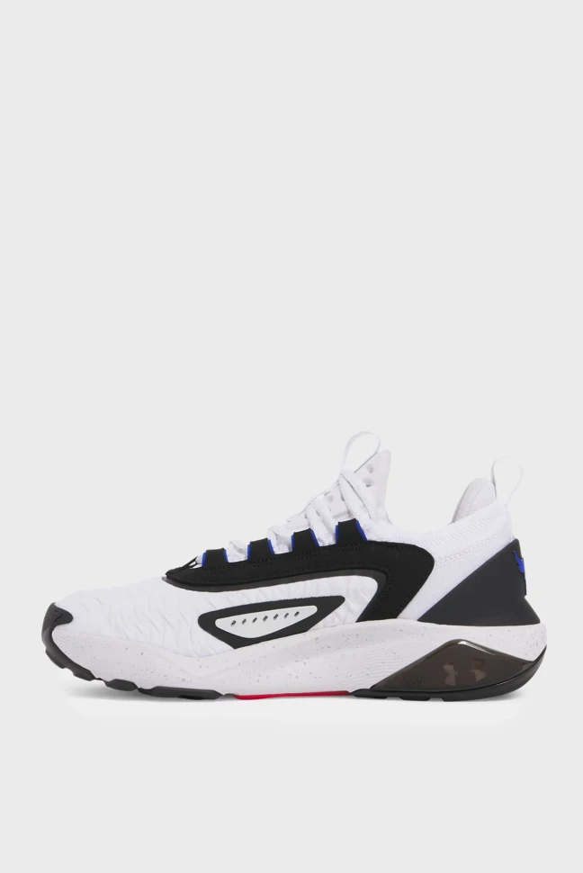 Кроссовки Under Armour UA W Project Rock 7 3027601-104