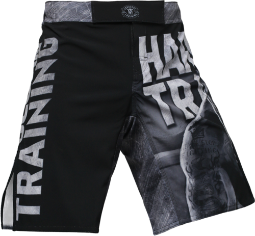 Шорты Hardcore Training х Ground Shark The Moment of Truth hctshorts098
