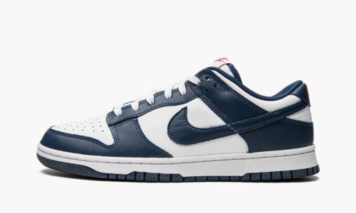 Кроссовки Nike Dunk Low Retro 'Valerian Blue' DD1391-400