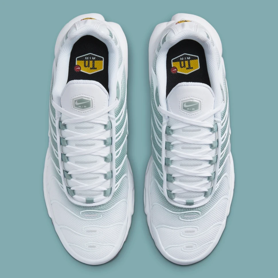 Кроссовки Nike W AIR MAX PLUS DZ3670-100