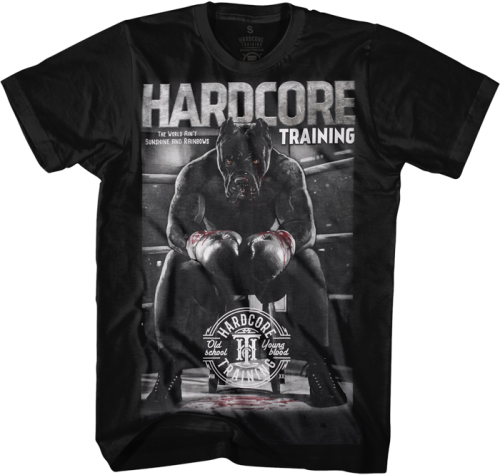 Футболка Hardcore Training The Moment of Truth hctshirt0430