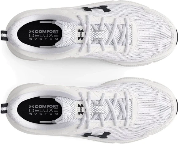 Кроссовки Under Armour UA Charged Assert 10 3026175-104