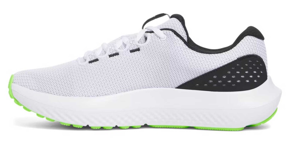 Кроссовки Under Armour UA Charged Surge 4 3027000-109