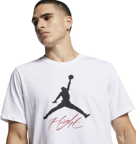 Футболка Nike JUMPMAN FLIGHT HBR TEE AO0664-100