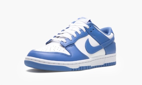 Кроссовки Nike Dunk Low Polar Blue DV0833-400
