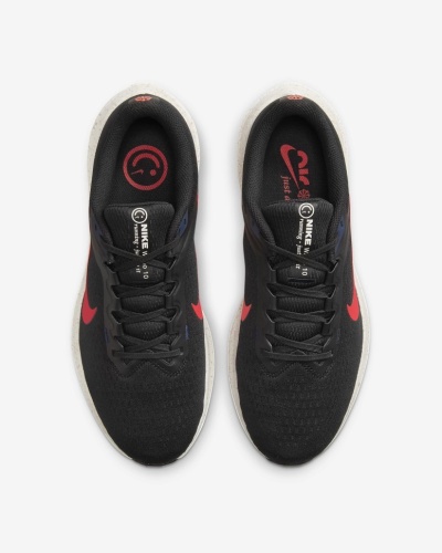 Кроссовки NIKE AIR WINFLO 10 DV4022-002