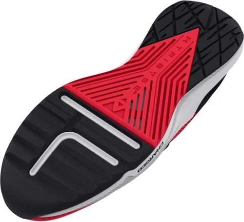 Кроссовки Under Armour UA PROJECT ROCK BSR 2 3025081-600