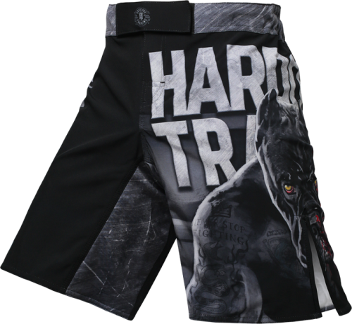 Шорты Hardcore Training х Ground Shark The Moment of Truth hctshorts098