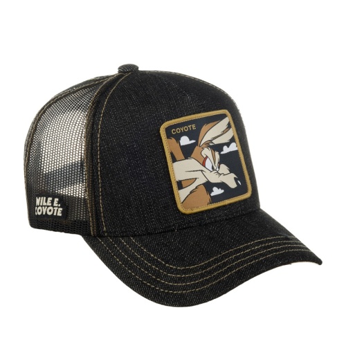 Бейсболка CAPSLAB Looney Tunes Wile E. Coyote черный 88-436-09-00